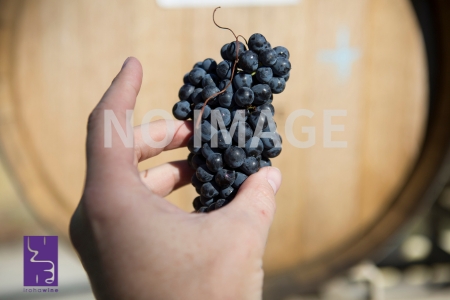 ドメーヌ・アレチェア　DOMAINE ARRETXEA